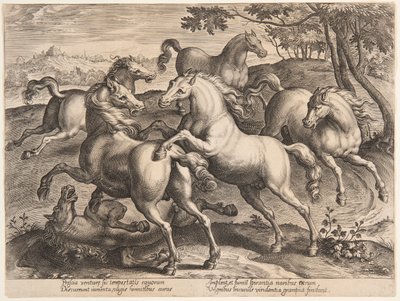 Fighting Horses, fra det fjerde settet av "Equile Joannis Austriaci" av Jan van der Straet, called Stradanus