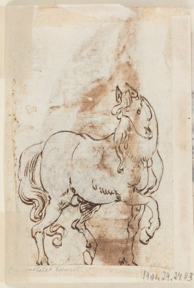 Side i en tegnebok; Studie for maleri av St. Magdalen; En hingst av Jan van der Straet, called Stradanus