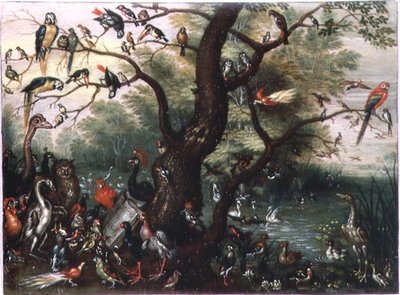 Concert of Birds (olje på kobber) av Jan van the Elder Kessel