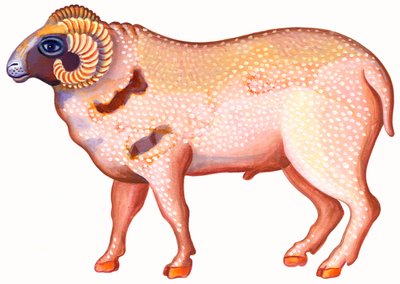 Væren Væren, 1996, (blekk og gouache) av Jane Tattersfield