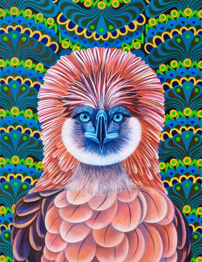 Philippine Eagle, 2020 av Jane Tattersfield