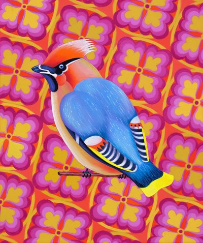 Waxwing, 2023 (olje på lerret) av Jane Tattersfield