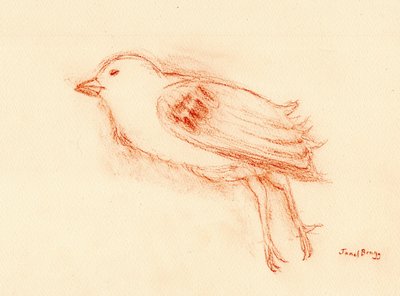 Sårbarhet og død om sommeren (Død fugl ved trappeoppgangen min III) ca. 2021 (pastell på papir) av Janel Bragg
