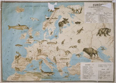 Kart over dyr i Europa, (fargegravering) av Janos Balint