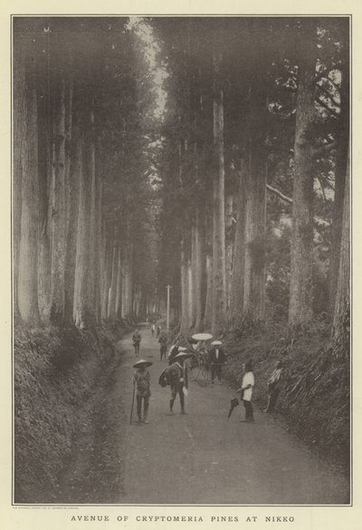 Avenue of Cryptomeria furu ved Nikko av Japanese Photographer