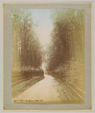 Bamboo Grove i Kiyomizu, Kyoto, Japan (håndfarget svart/hvitt-bilde) av Japanese Photographer