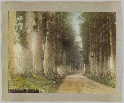 Imaichi Road, Nikko, Japan (håndfarget svart/hvitt-bilde) av Japanese Photographer