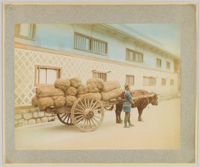 Mann med okse og vogn, Japan (håndfarget s/hv-bilde) av Japanese Photographer