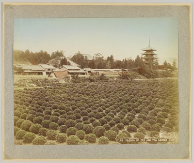 Pagoda of Toji and Tea Garden, Kyoto, Japan (håndfarget s/h-bilde) av Japanese Photographer