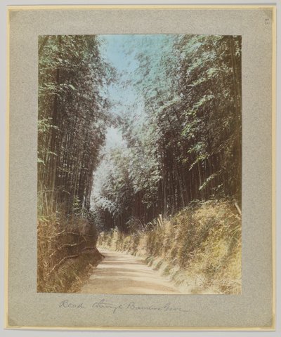 Vei gjennom en bambuslund, Japan (håndfarget svart/hvitt-bilde) av Japanese Photographer