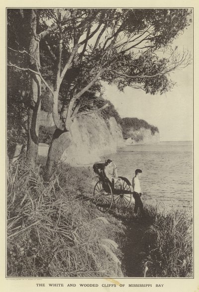 De hvite og skogkledde klippene i Mississippi Bay av Japanese Photographer