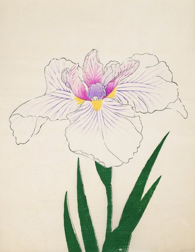 Det er avslørt. -Ul, av. 10, 1898 av Japanese School