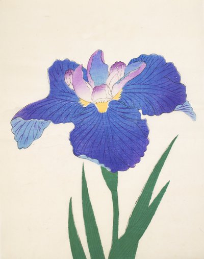 Blå E type. 30, 1898 av Japanese School