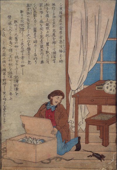 Audubon åpner sin boks med akvareller ødelagt av norske rotter, ca. 1872-77 av Japanese School