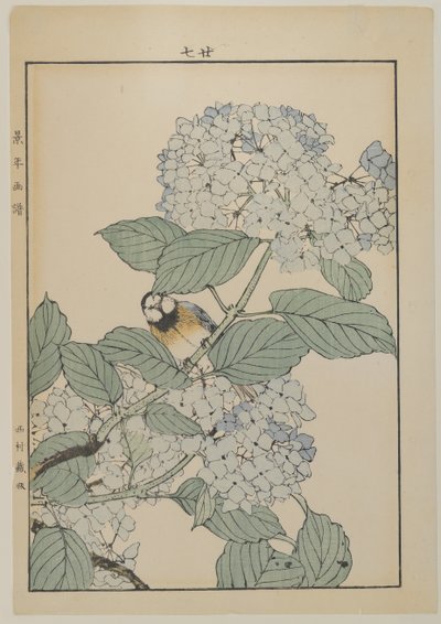 Fugl med hortensia, Meiji-perioden, ca. 1868-1912 (treblokktrykk i farger) av Japanese School
