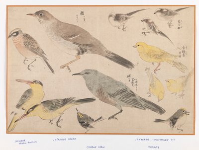 Fugler i Okyo-stil (fargetrykk av treblokk) av Japanese School
