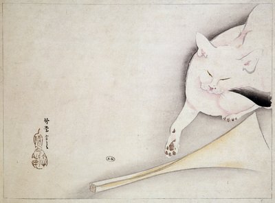 Katt, japansk tegning, n.d. 1800-tallet. av Japanese School