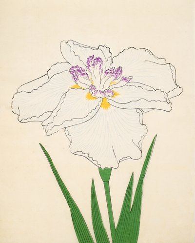 Cho-Hiyen, nr. 91, 1890 (treblokktrykk i farger) av Japanese School