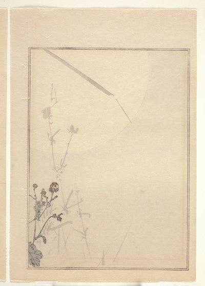 Krysantemum (farget treblokktrykk) (se også 374402) av Japanese School