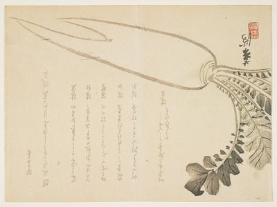 Daikon reddik, januar 1864 (farget treblokktrykk) av Japanese School