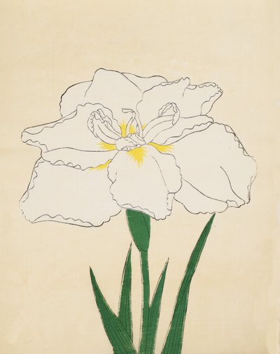 Haku-O-Den, nr. 40, 1890 (farget treblokktrykk) av Japanese School