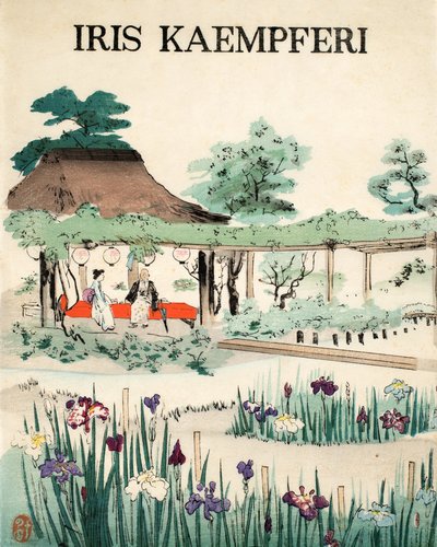 Iris Kaempferi - Forside, 1890 av Japanese School