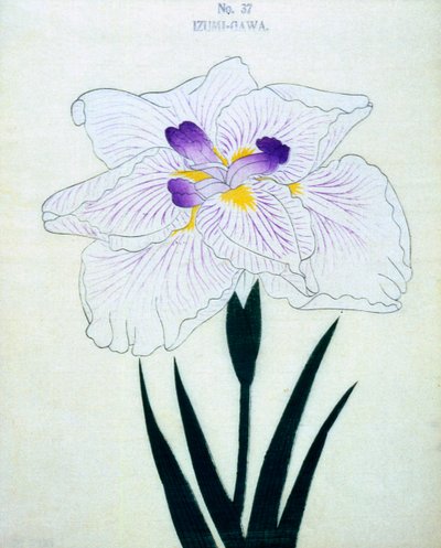 På Izumi-siden. 37, 1898 av Japanese School