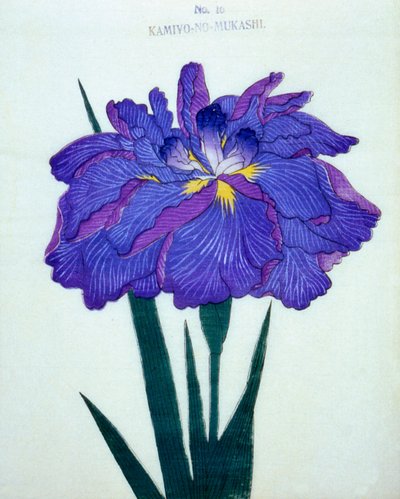 Ser deg. -Det var en gang. 16, 1898 av Japanese School
