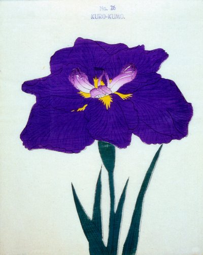 Kappe også. 26, 1898 av Japanese School