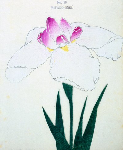 Hva er hovedstaden? 50, 1898 av Japanese School