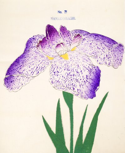 Av Seven Komachi. 21, 1898 av Japanese School