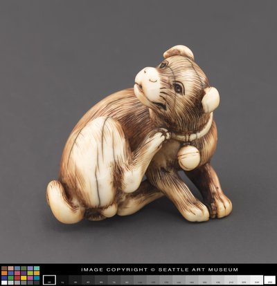 Netsuke modellerte som en hund som klør seg nakke av Japanese School