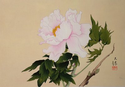 Peony, pub. 1950 av Japanese School