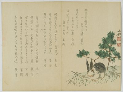 Kanin under New Years Pine, ca. 1860 (treblokktrykk) av Japanese School