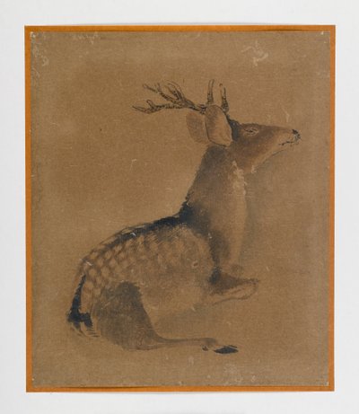 Liggende hjort (blekk og sepia på papir) av Japanese School