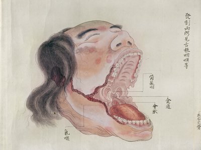 Munnens anatomi, fra disseksjonen av et torturoffer fra 1796, fra en makimono av en Midori-lege, 1842 (penn og blekk og wc på papir) av Japanese School