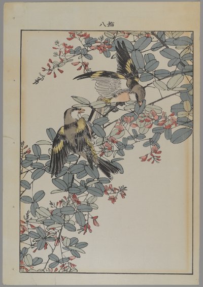 To fugler med rosa blomster, Meiji-perioden, ca. 1868-1912 (farget treblokktrykk) av Japanese School