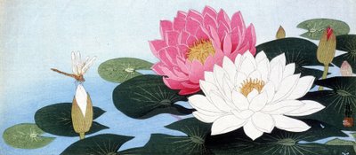 Water lilies and dragonfly - Japanese print av Japanese School