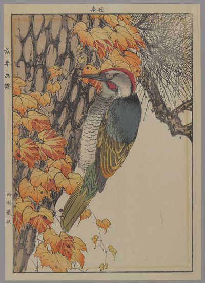 Hakkespett, 1892 (farget treblokktrykk) av Japanese School