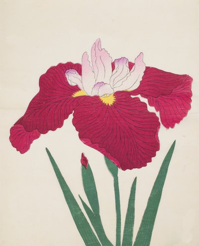 Yamamatayama, nr. 83, 1890 (farget treblokktrykk) av Japanese School
