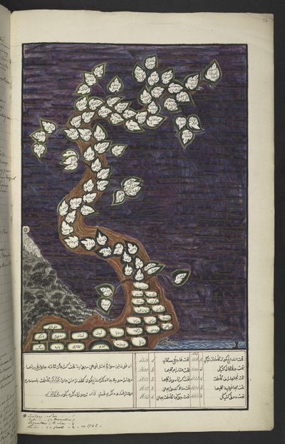 Eller. 15932, f. 72r, Slektsdiagram i form av et tre av herskerne på Java, fra Adam til Pakuwana IV (av Surakarta) og Mataram IV (Hamengkubuwana IV fra Yogykarta), i et javanesisk manuskript, Papakem Pawukon av Javanese School