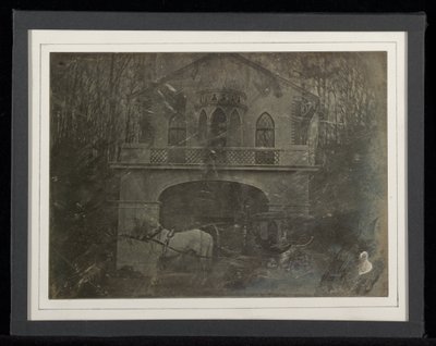 La Volière, Aviary av Jean-Gabriel Eynard av Jean Gabriel Eynard