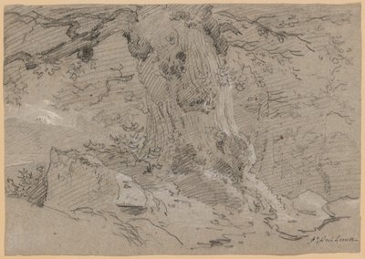 Studie av gammel trestamme av Jean Antoine Linck