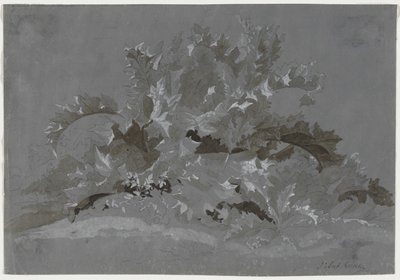 Studie av ugress av Jean Antoine Linck