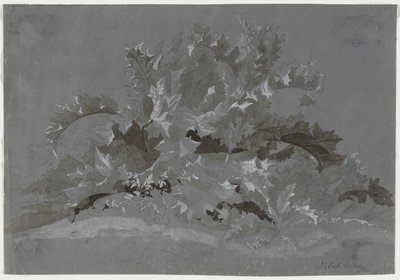 Studie av ugress, 1800-1850. av Jean Antoine Linck