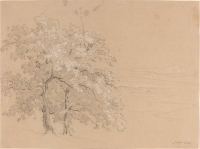 Solbelyste trær før et panoramalandskap av Jean Antoine Linck