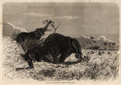 Jakten på elefanter av Dahomyan Amazons av Jean Antoine Valentin Foulquier
