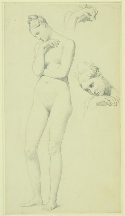  av Jean Auguste Dominique Ingres