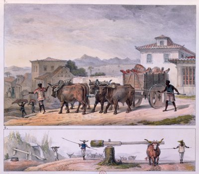 Transport av kjøtt og temme en okse av Jean Baptiste (after) Debret