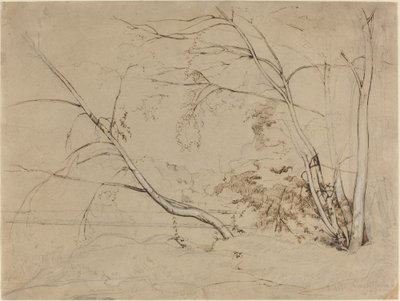 Treklump ved Civita Castellana, 1826. av Jean Baptiste Camille Corot